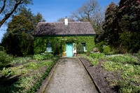 Glenveagh Gardens 2