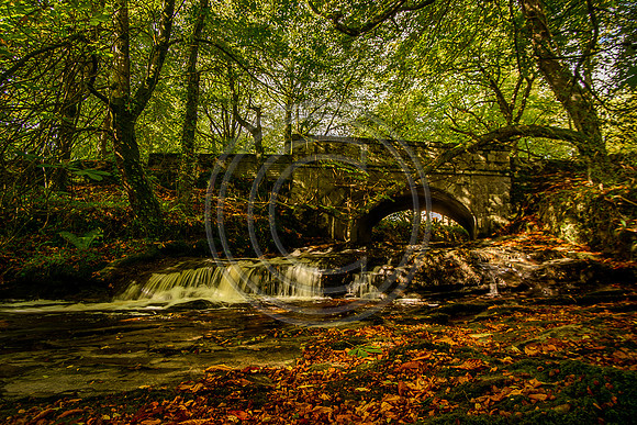 Waterfall, Co Clare