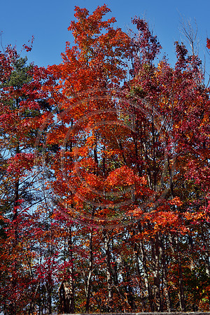 Twenty Three