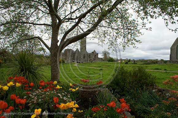 Quinn Abbey, Co Clare