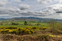 County Armagh 1
