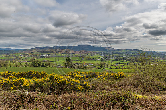 County Armagh 1