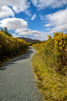 Glenveagh Gardens Pathway