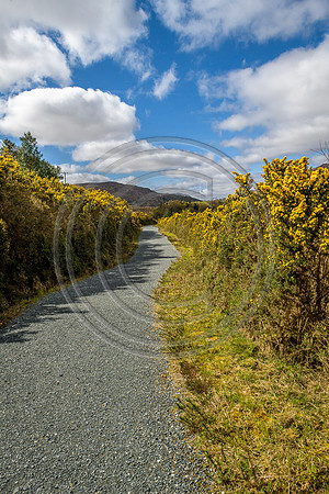 Glenveagh Gardens Pathway