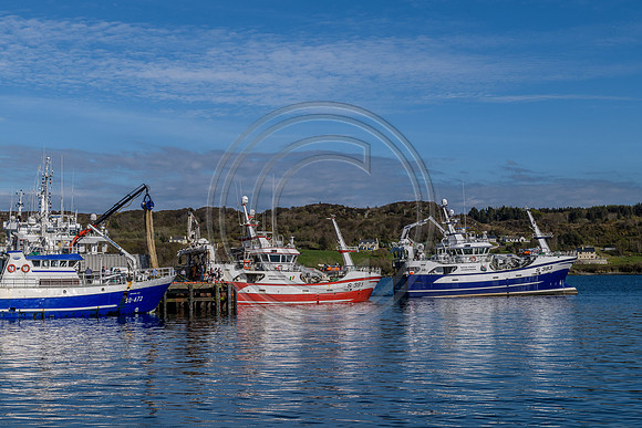 Killeybegs Harbour Donegal 3