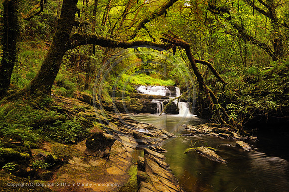 Clare Glens Co TIpperary