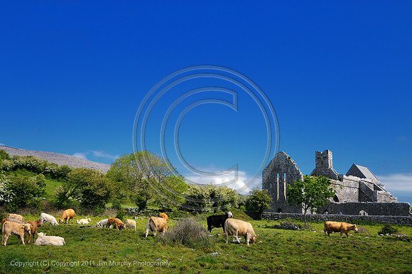 Corcomroe Abbey Co Clare